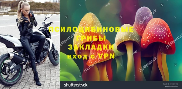 круглые Ладушкин