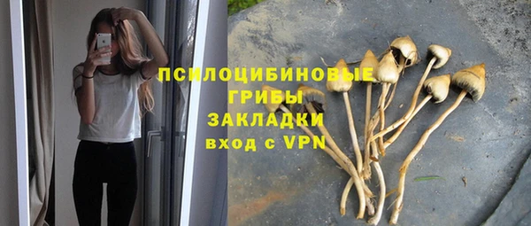 круглые Ладушкин