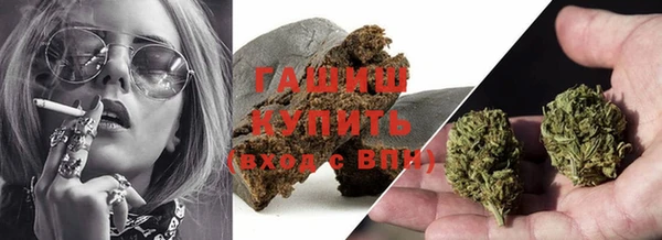 прущие грибы Кулебаки